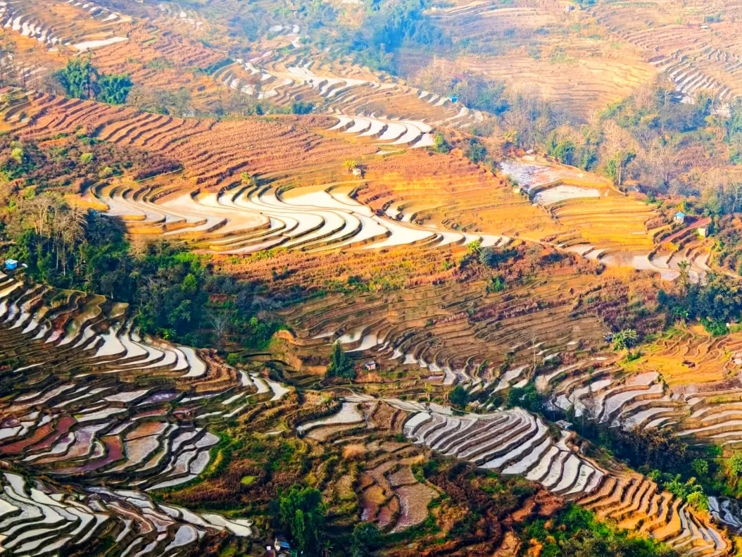 0b36874479556b9f78c3253fbfaa7d8c-sz_846102