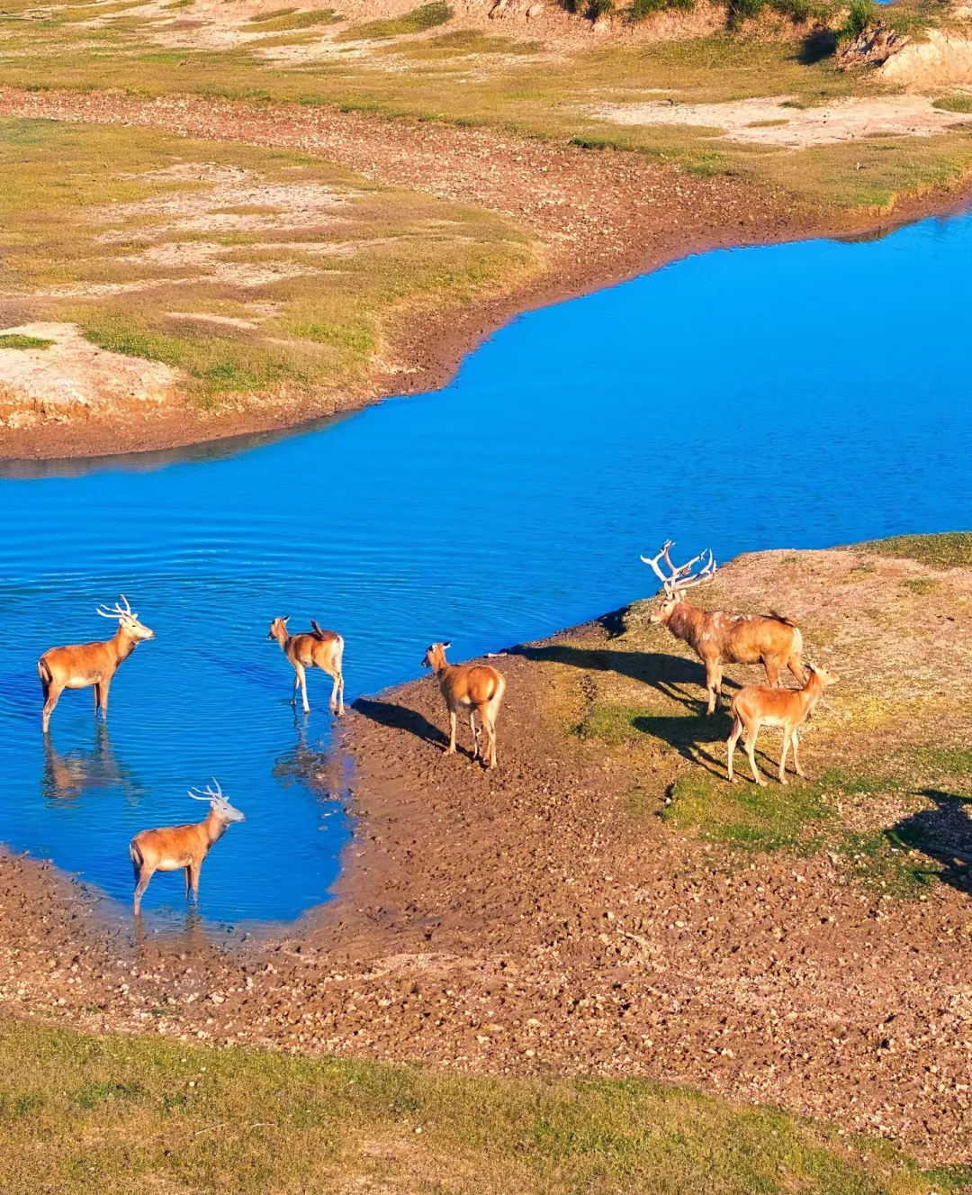 0c10e8c2c14b7348f6d6a4cf58a8dc76-sz_2594287