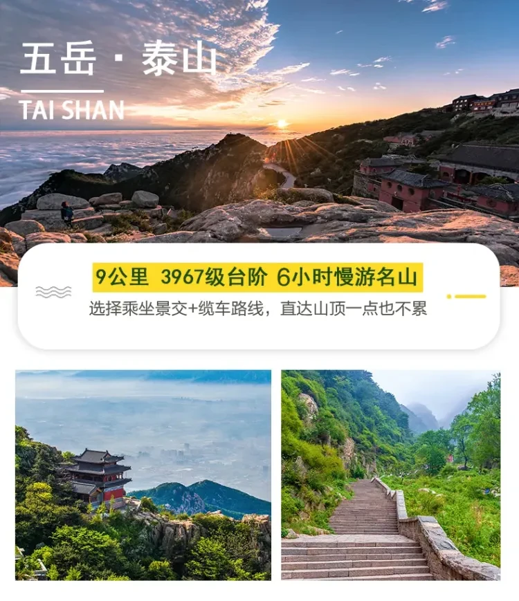 0c1c95d96d6bd7783a7f8d74b9a3fe0f-sz_613312