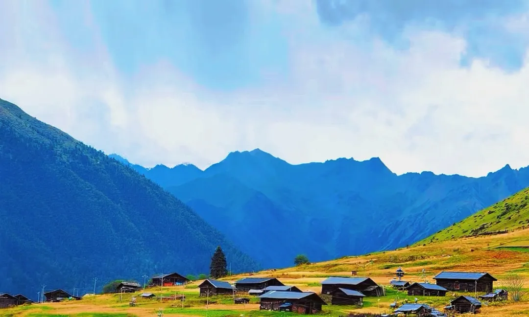 0c29c89af376cd1baa90ee02fa6430a0-sz_931856