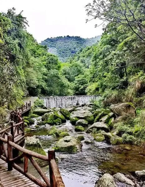 0c92d4520e805b4b63d4477c2cd6c594-sz_233025