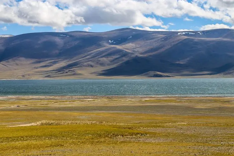 0cf37c7ef8f3c14d2cc9a64645c5eb1f-sz_65444