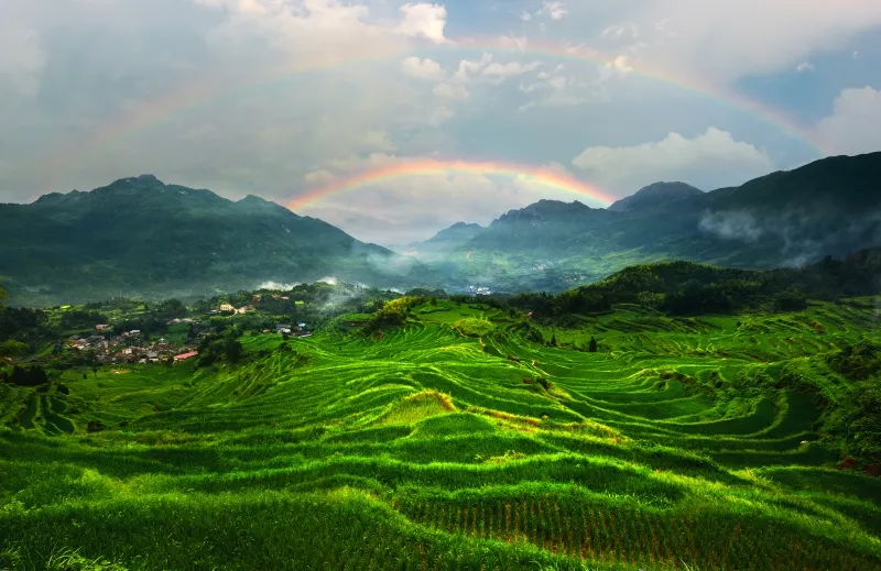 0d35a3b6d815964dad417604ad0f0b27-sz_968230