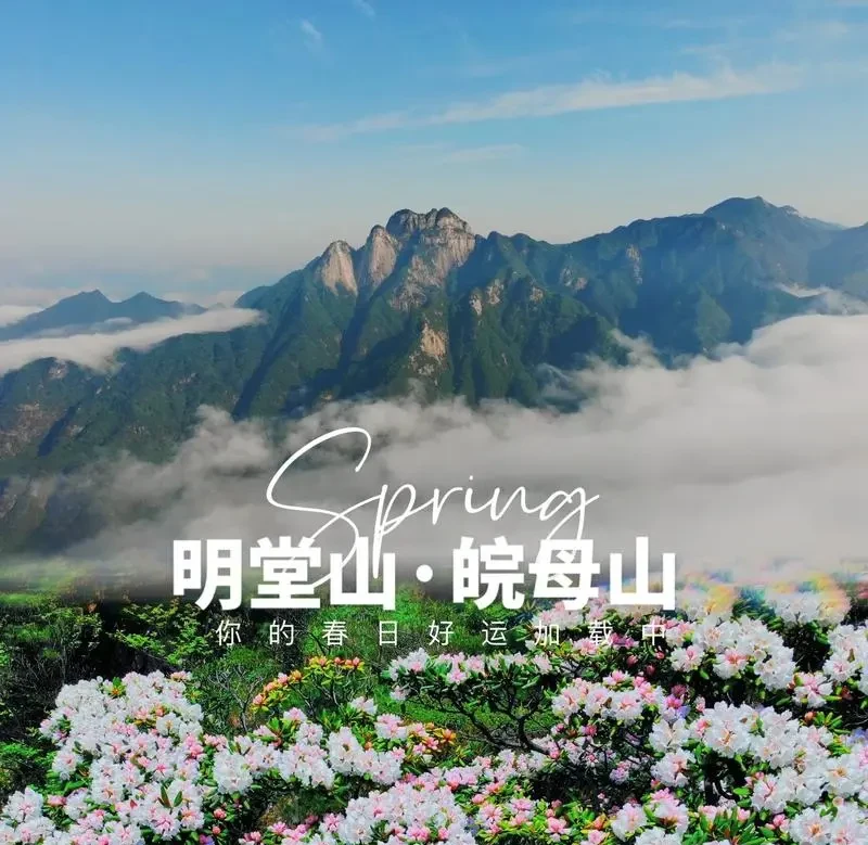 0d458e466d44720b12217fda803af28c-sz_195371