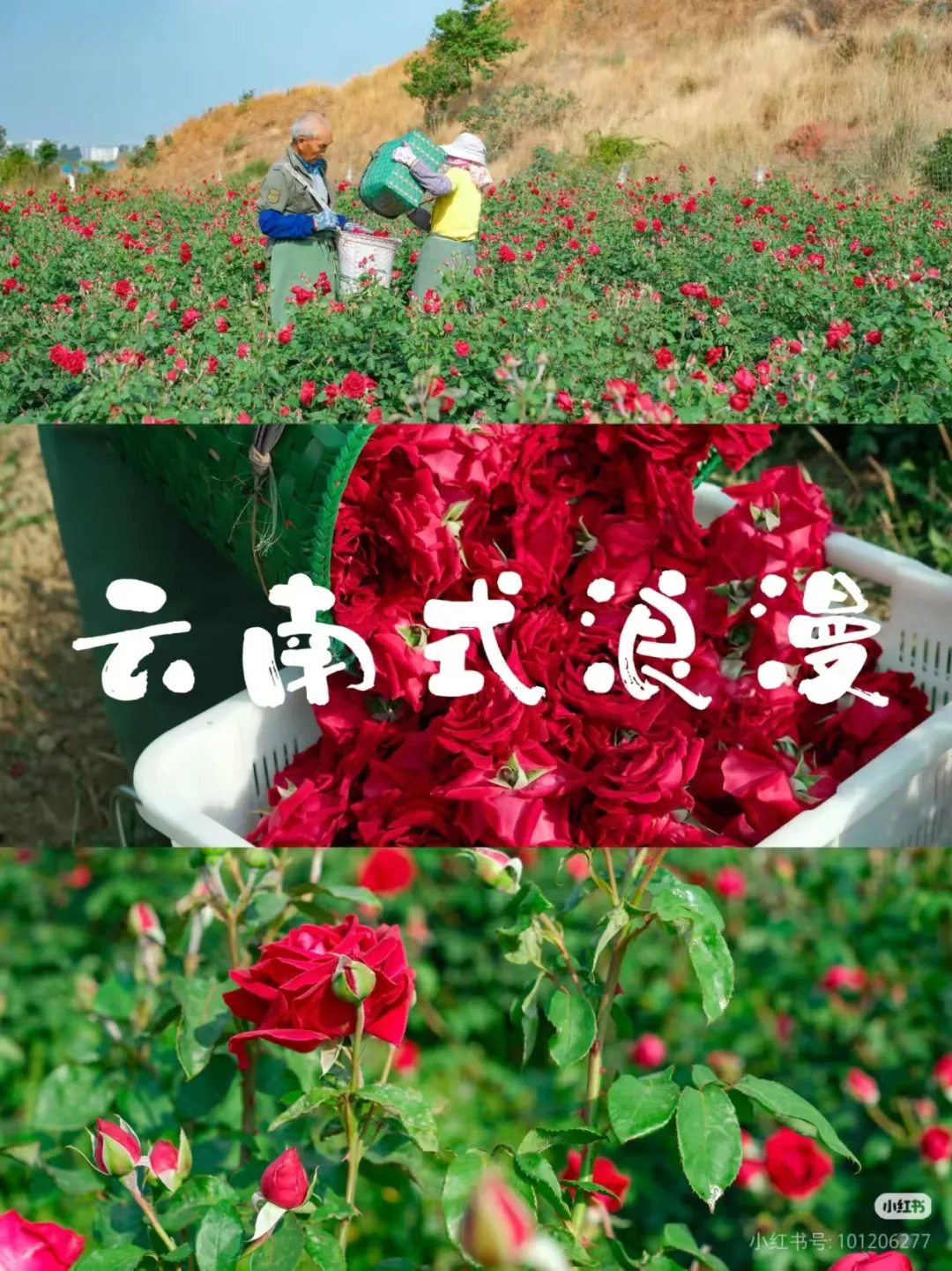 0d5034ffa8db9b74467fc6bb70852b19-sz_1436576-1