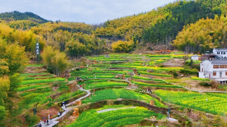 0d51b0efb44061032e709a1734dbbfe0-sz_1420720