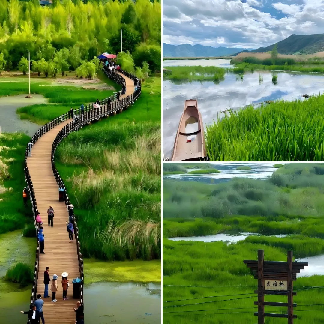 0d660200fab5a6caaadc33deb5135ad6-sz_2367119