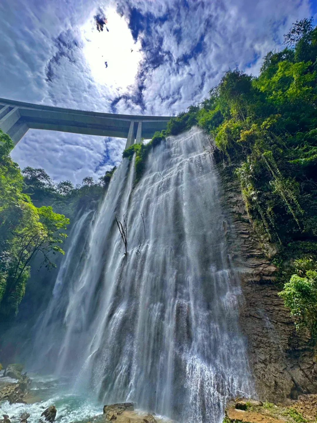 0d7be0396b3bd9fbdc8f51297cba5108-sz_2596341