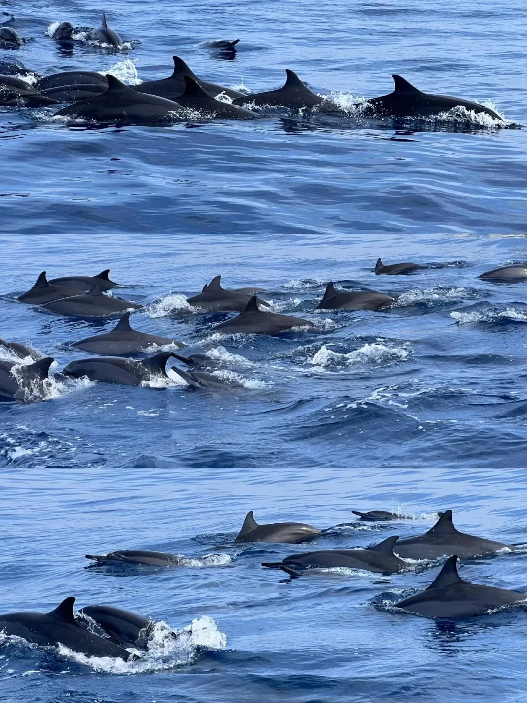 0da4c9685319b7dfe16008c5a3ce846d-sz_533834