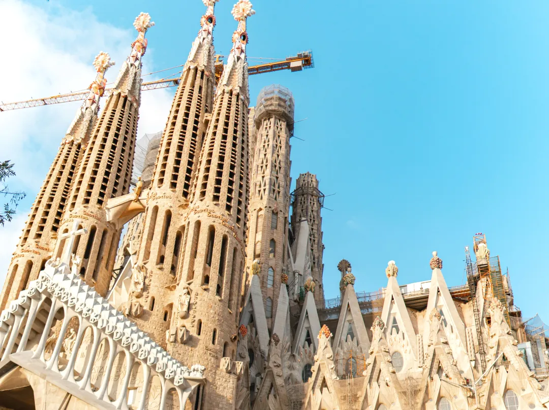 0dd44d4cbf4bb1c173bd243d2e77726d-sz_4419917