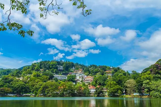 0e03766743f9492f3f1800a3de1c3ff6-sz_54537