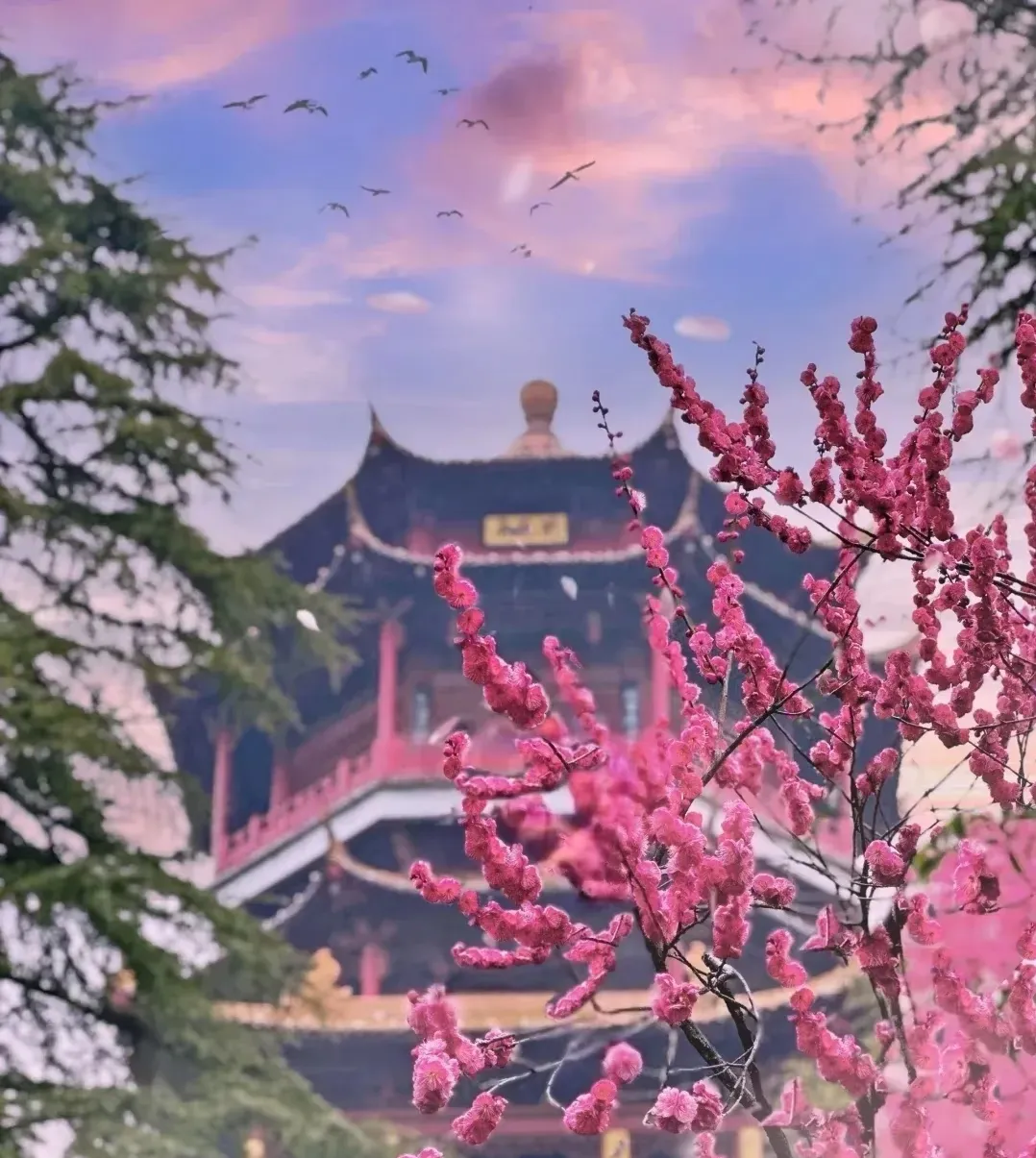 0e246e9972b30e4d0c3ae4840bdc4d84-sz_783125