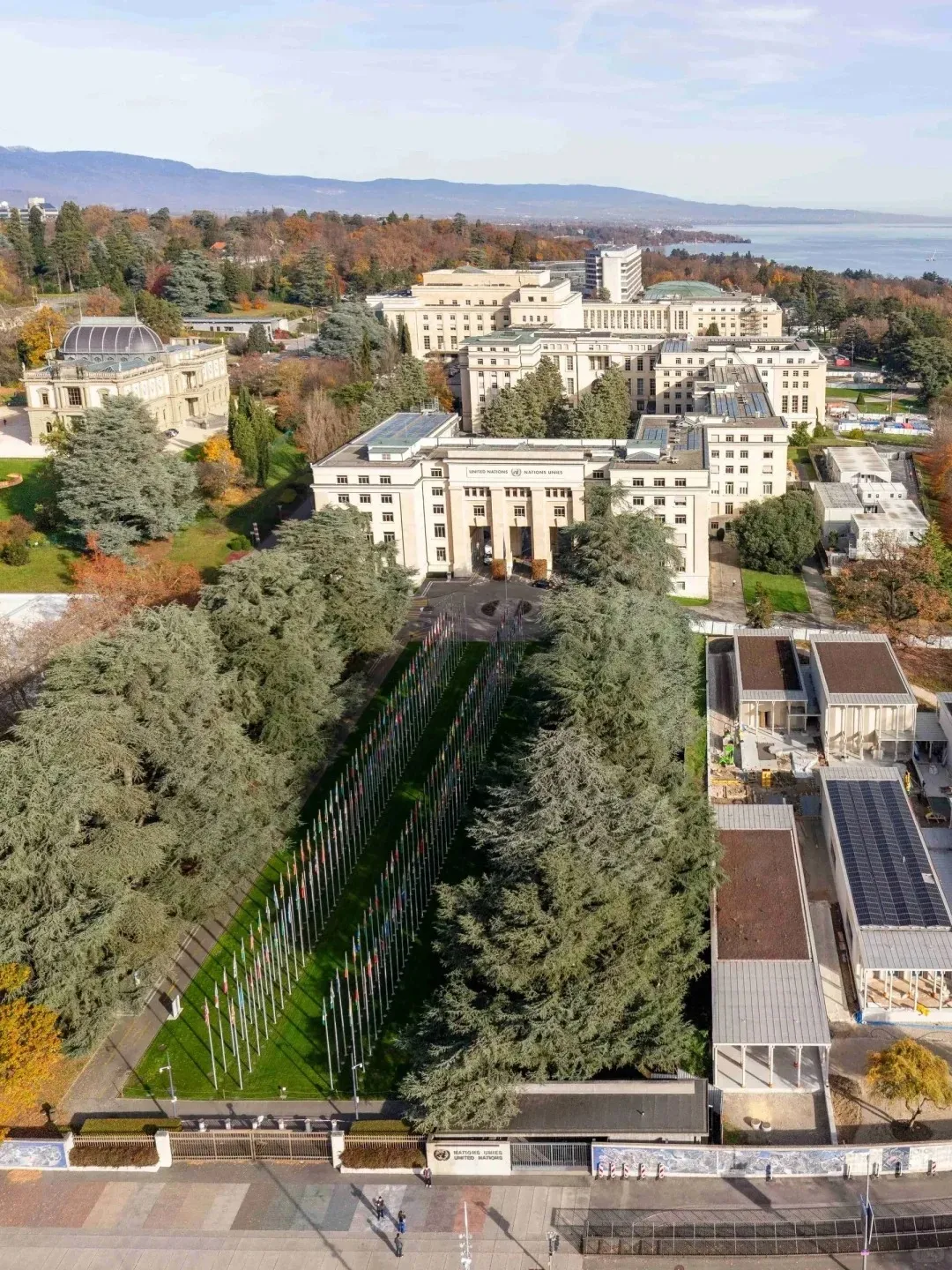 0e4c0bec64bcbbe9fbe9a206a6a8841e-sz_613259