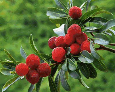 0e8ee60990401d85d5161038ed9704e6-sz_304981