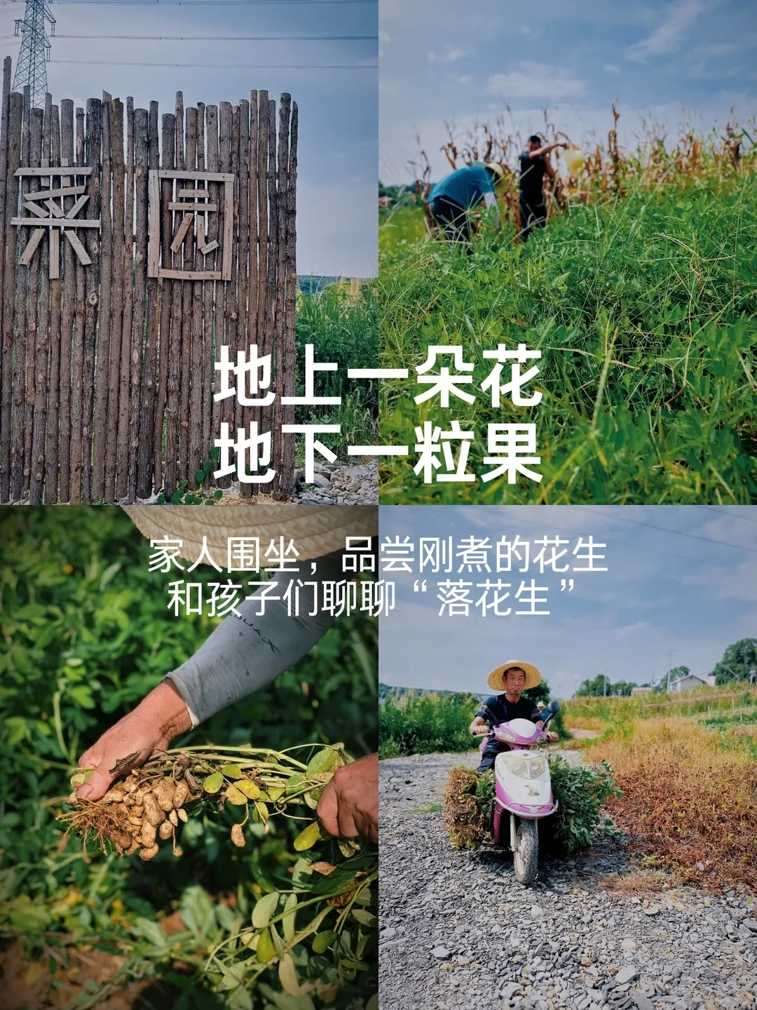 0ea7622a912facc11db35015bd4daf92-sz_2985538