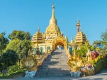 0f30eb3a04f594477068f9186d988024-sz_211846-1 0f30eb3a04f594477068f9186d988024-sz_211846-1