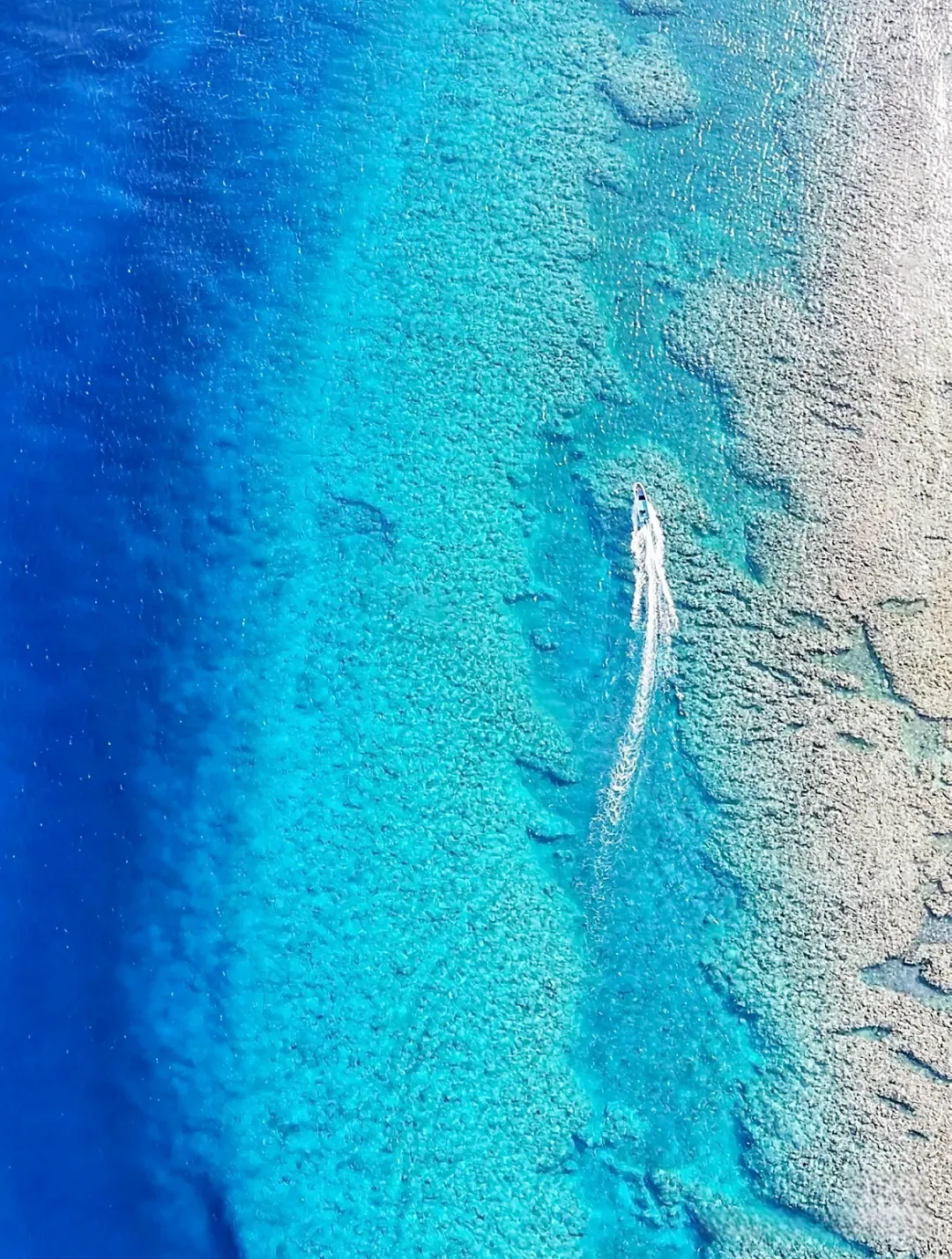 0f6166d8985afb04e13d5fc592b4e78d-sz_4097090