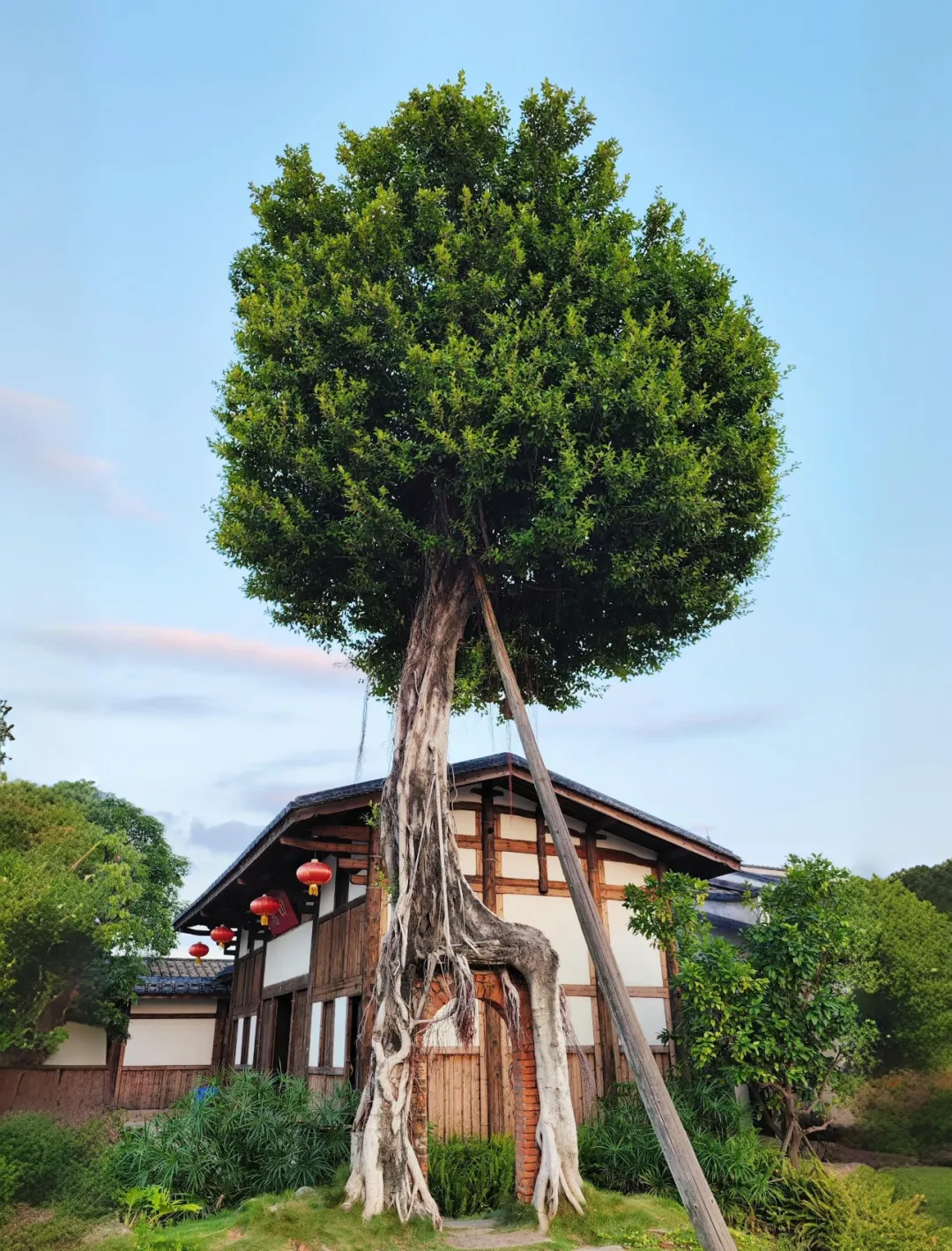 0f666e4e5f6c4739292fe54577830409-sz_2357374