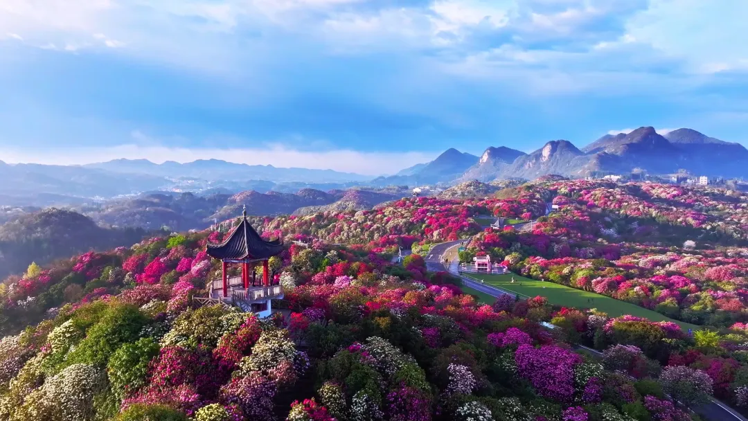 0f675b55f4a215f466d5cb4e7fb7712c-sz_4215791