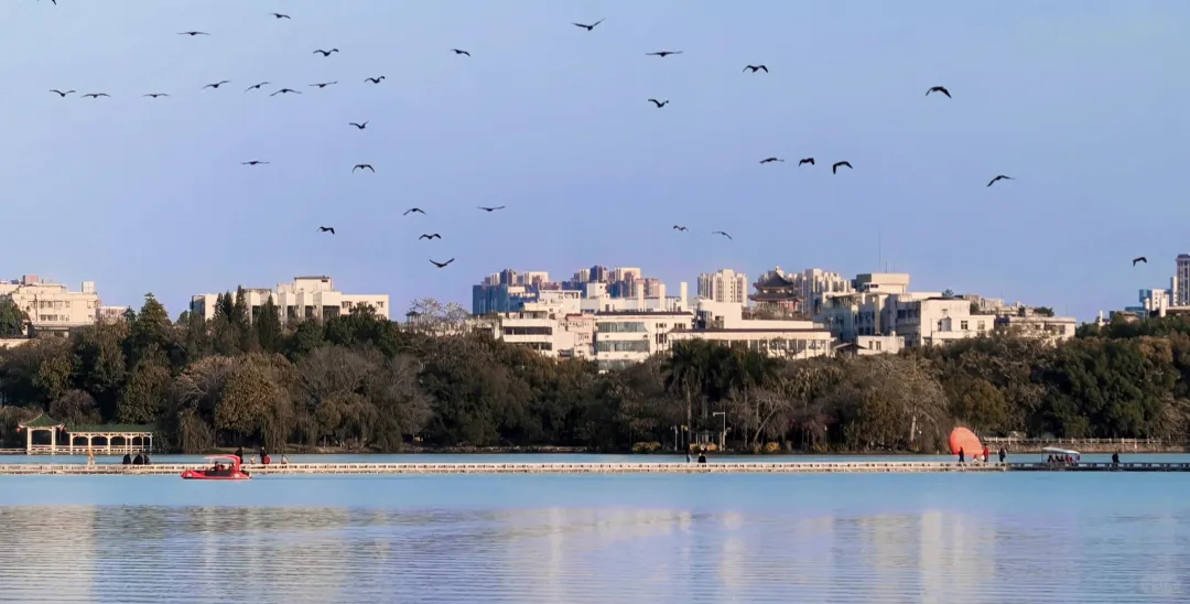 0f8a01c250d453340941f6309f094ae9-sz_385650