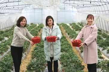 0f92a4d39a760e5466c7d23c8b3952cf-sz_237549