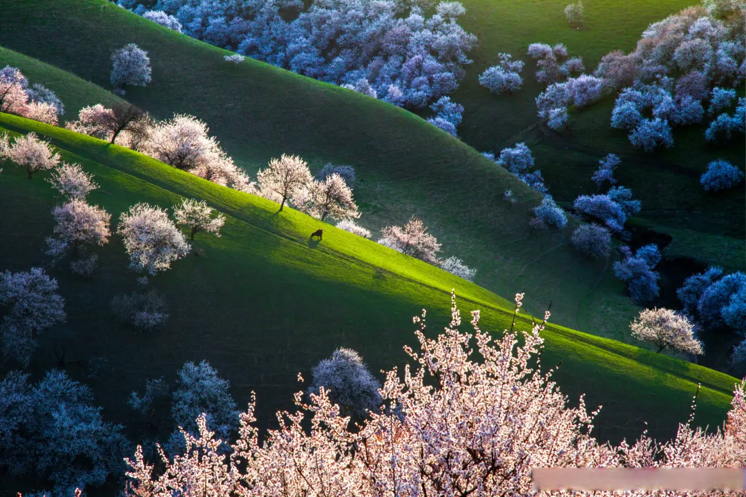 0f94b2966f68879c81bac78b9f75e07a-sz_7258684 0f94b2966f68879c81bac78b9f75e07a-sz_7258684