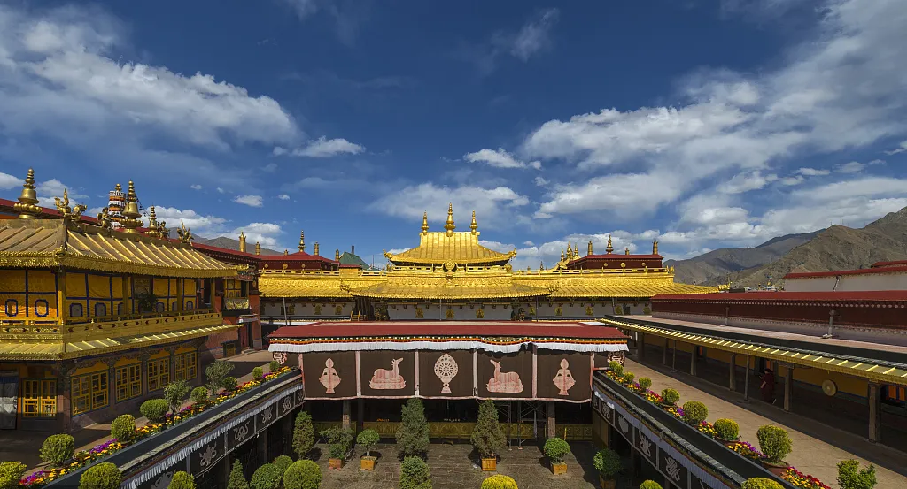 10063cbd9752660e823113563c01922f-sz_596634