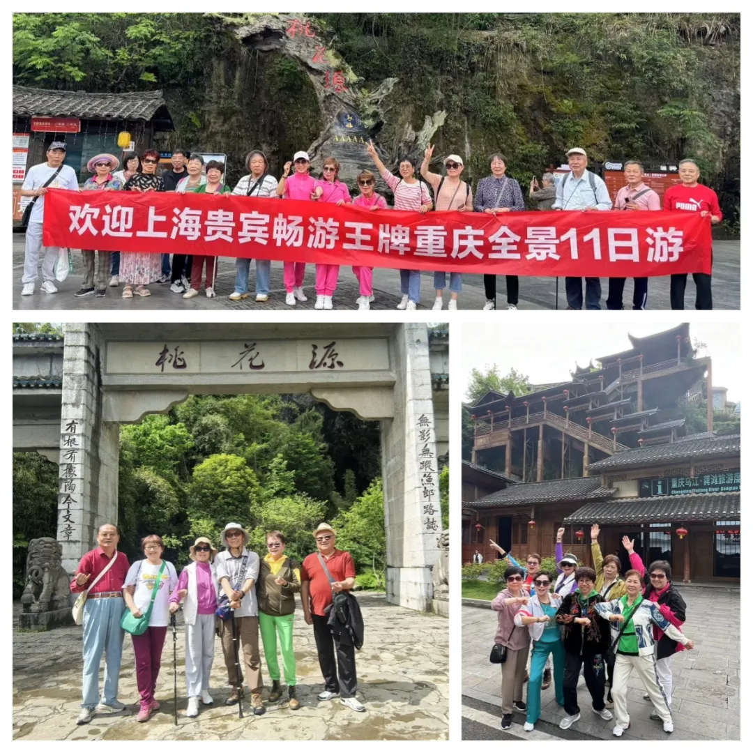 10290369e524ada1f9cb56b69048af1f-sz_723815