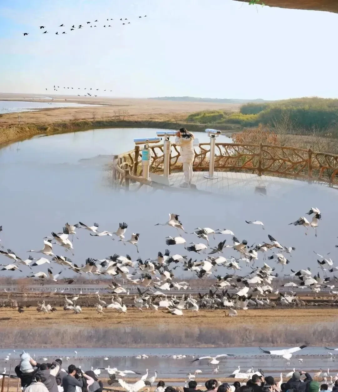 106a84dc2330363825deb373c9f32d54-sz_208078