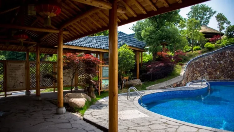 1072e8448d026bc8827ffc5df2151fb0-sz_153032