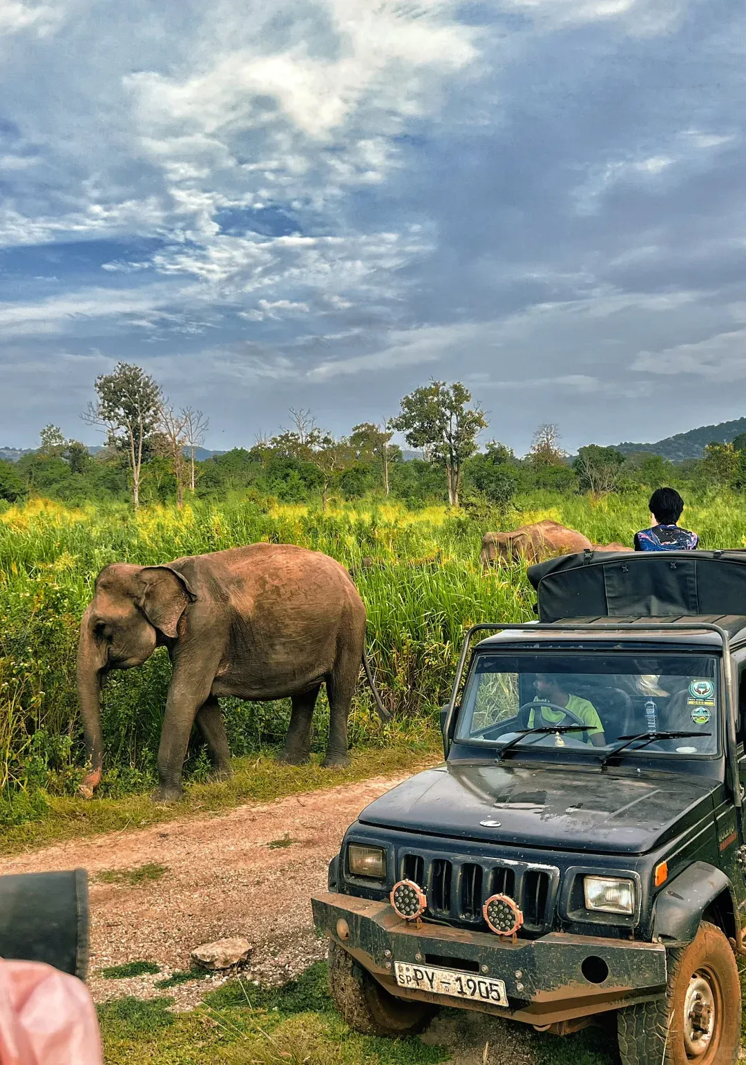 108c744336d77fcbf7b500afdd898684-sz_3150171