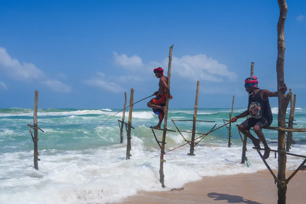 10a86c410c77e9c487675f9e1cc072cb-sz_165832-2