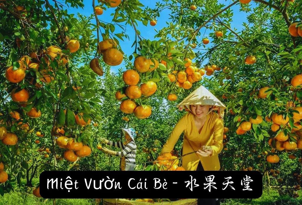 11024a8002331287563ed9edc48a7c20-sz_1827723