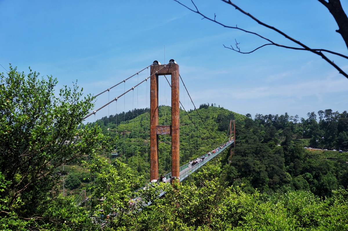 1112543823 1112543823