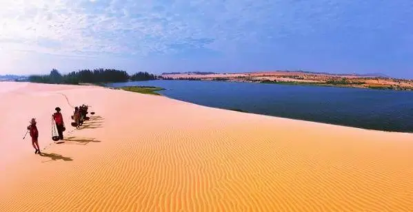 111498787b2ee26dd3251f5951e70e4a-sz_23961