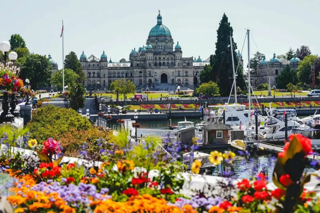 114257f6199dc181a7cfb2473566478c-sz_515591-1