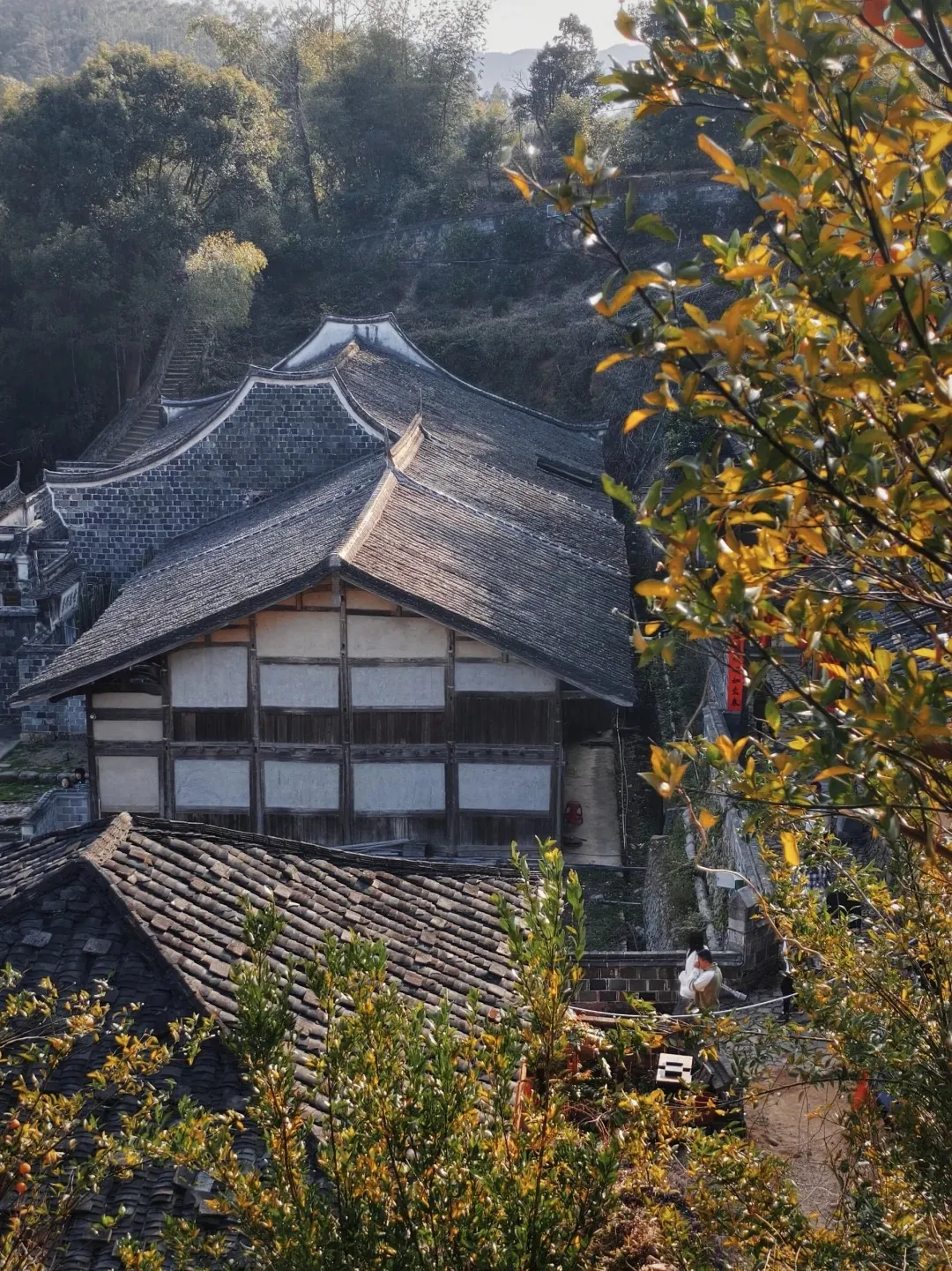 114a2f84081d7f44aa2d81b13648be4d-sz_664142