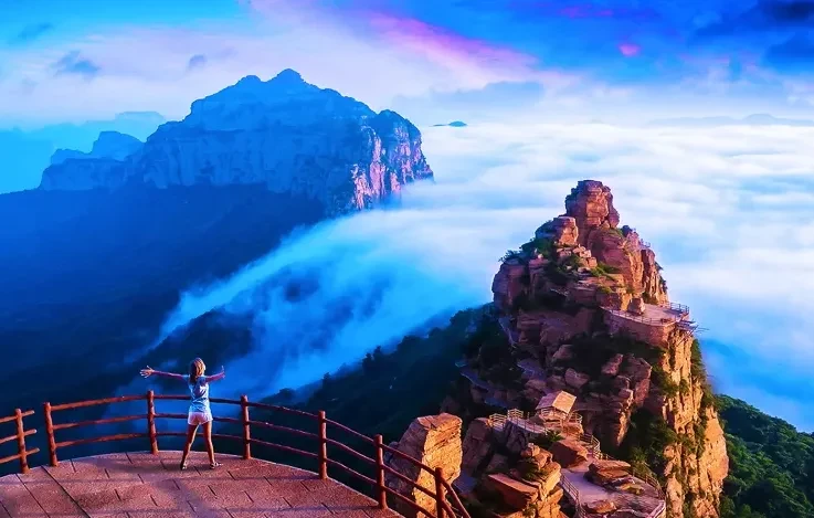 114b386b329a8fd058f7032b313c7233-sz_678736