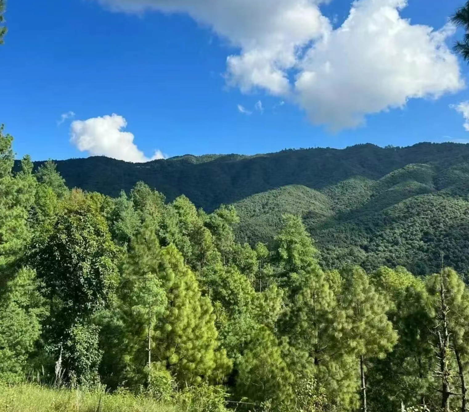 114fd16f758714f1b8578b8598854a72