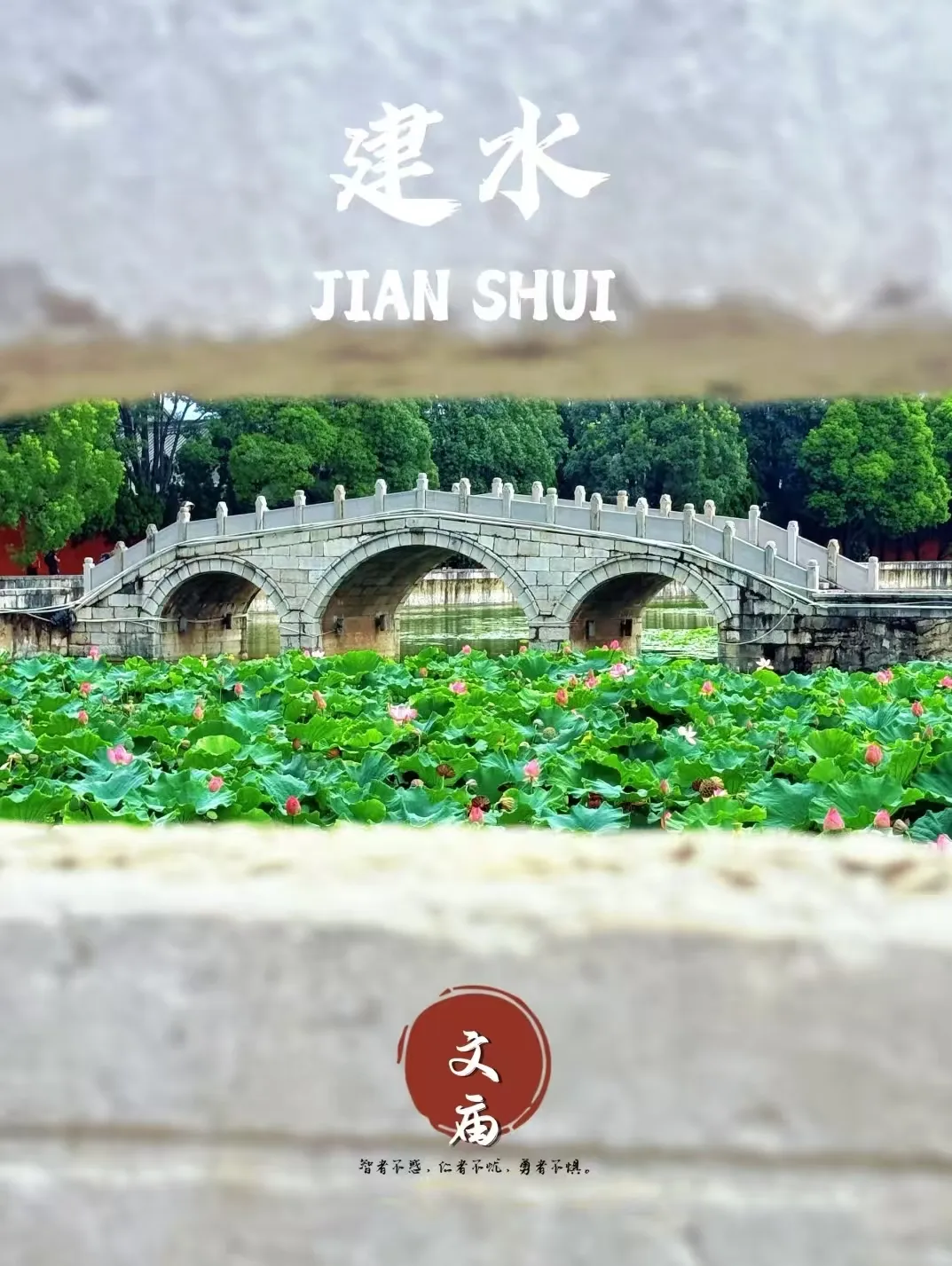 11701c572fcbcb522b5998ba06aeac93-sz_828650