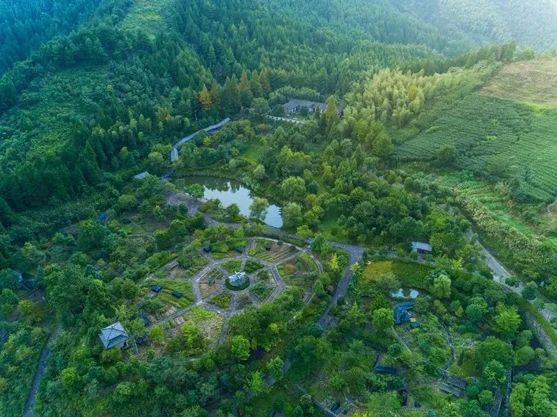 1174925a7ca6ac68661994ca160c23f5-sz_136750