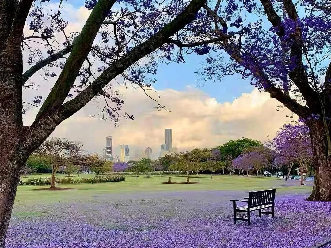 11ac200d816d46633b64152be1ce014e-sz_868700