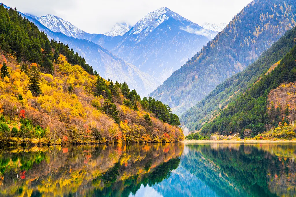 11aca370f8179a0b882da749fa70ca3f-sz_1573120 11aca370f8179a0b882da749fa70ca3f-sz_1573120