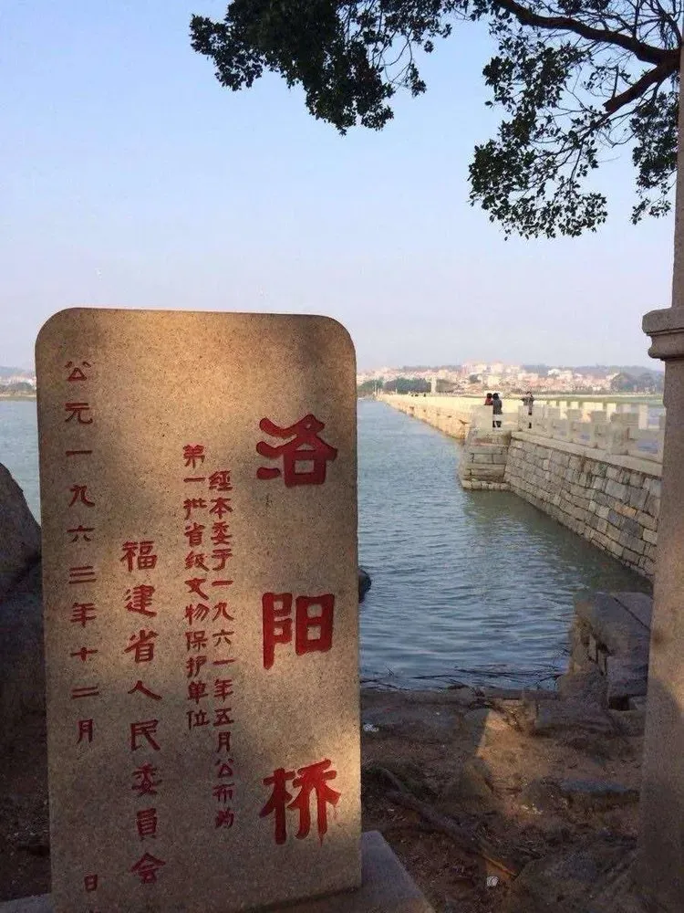 11b8ff6b305d4dd4142eff1435b35108-sz_172516