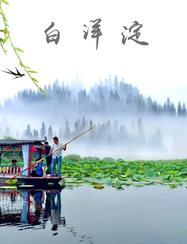 11caf3d7d81674e2ab21bbfd7d90022b-sz_137588