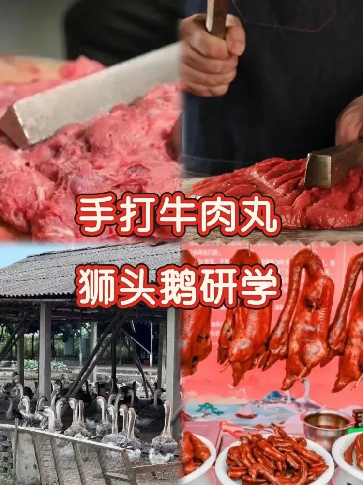 11e88b83fd0ab25d50205ea3b11f4682-sz_3068147