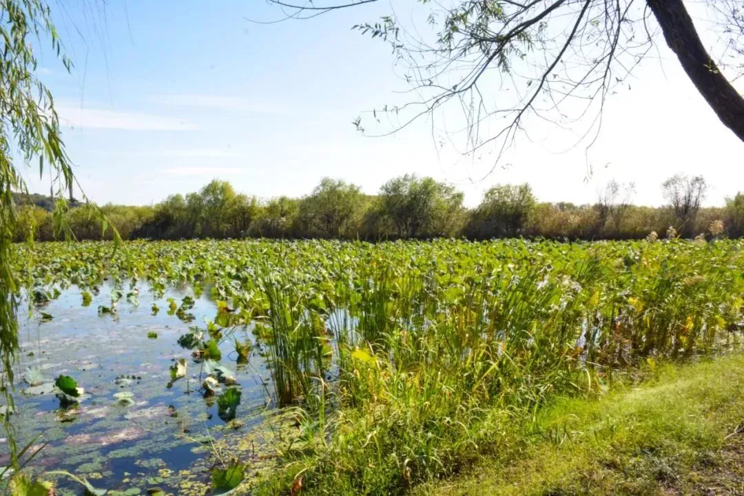 1214e1cfc9d5e88761544d51eee7710d-sz_181968