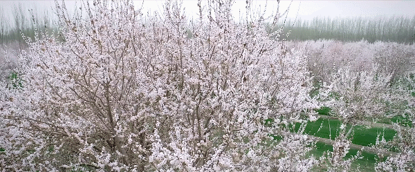 126d32de2b863408b89c62daf48ff2dd-sz_4328675