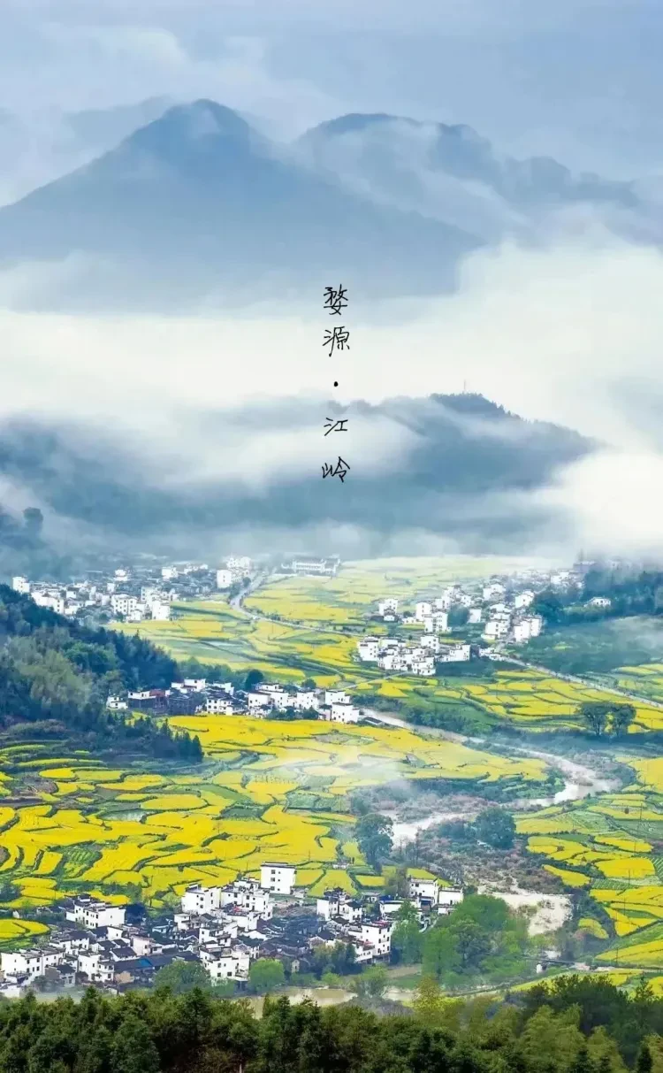 1287c9bb4fa772ba2733a935d49953f0-sz_269967