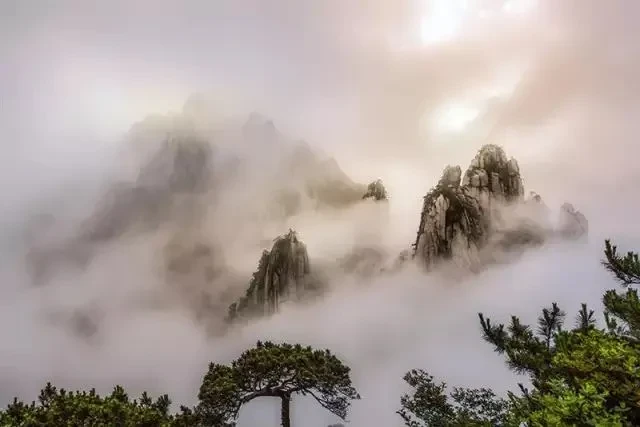 12a63605f448a5a7d89bd9186c901e85-sz_29973